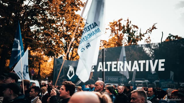 Bild von Protest der Jungen Alternative (AfD) - 9
